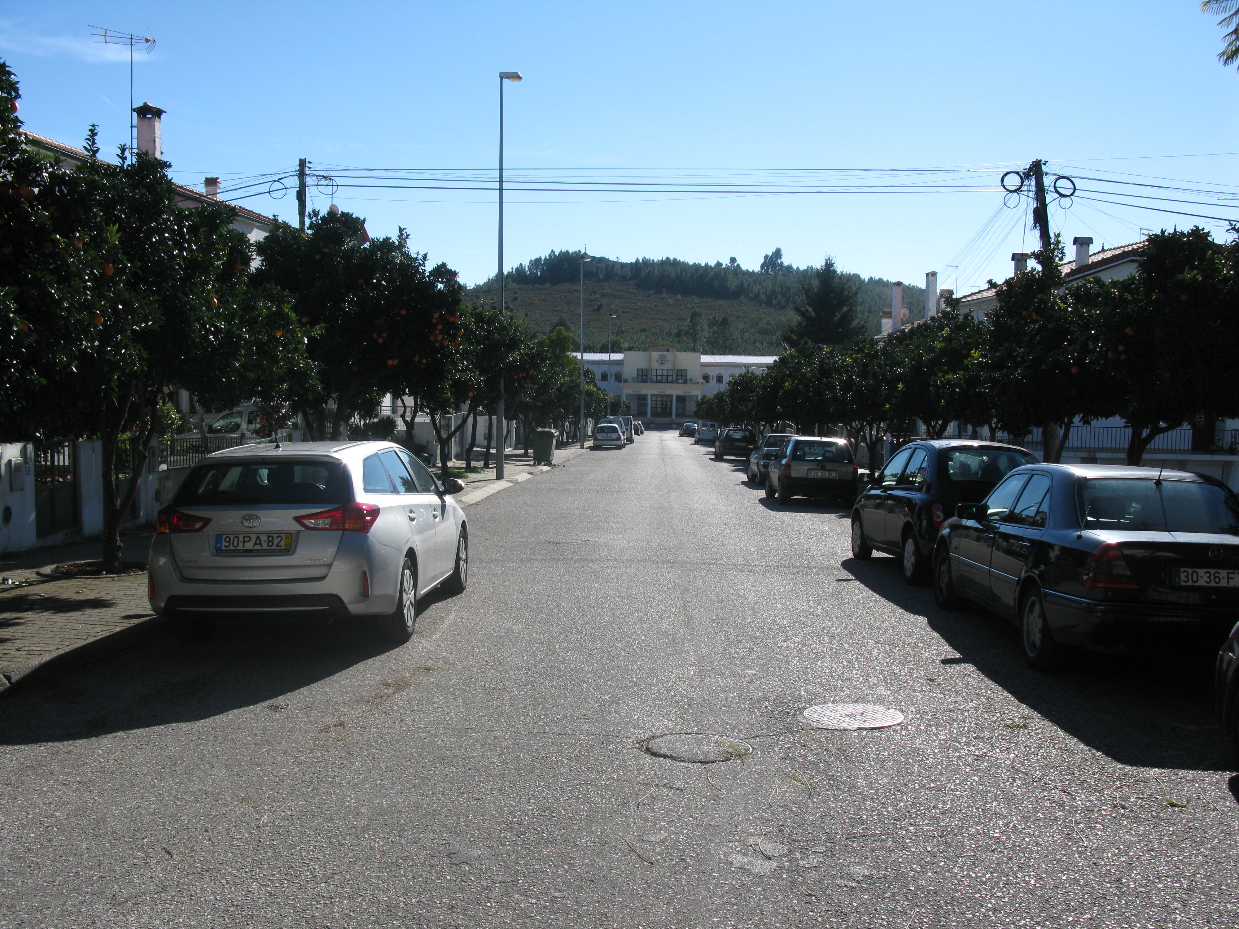 Vila de Rei: Avenida Dr. Francisco Sá Carneiro terá trânsito automóvel nos dois sentidos