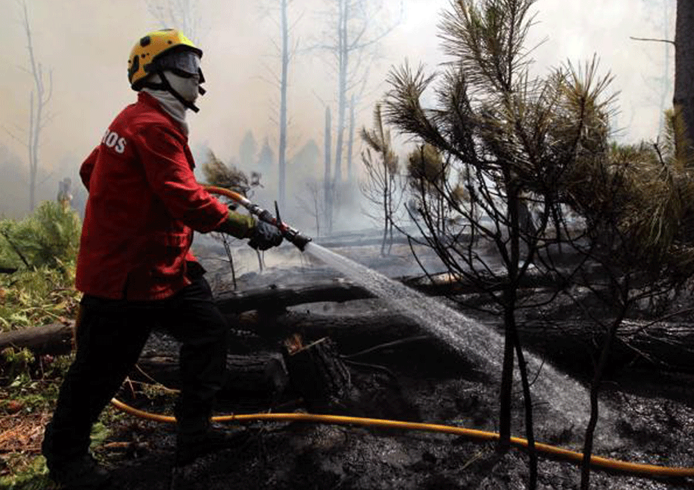Covilhã: Dominado incêndio em Unhais da Serra