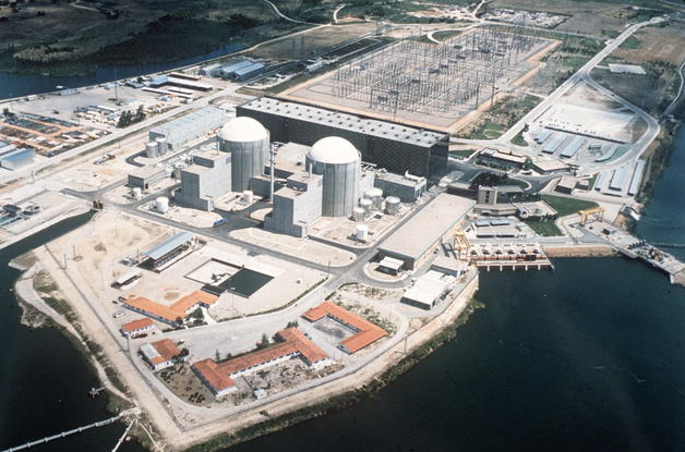 Vila Velha de Rodão: Quercus exige encerramento de central nuclear espanhola em Almaraz