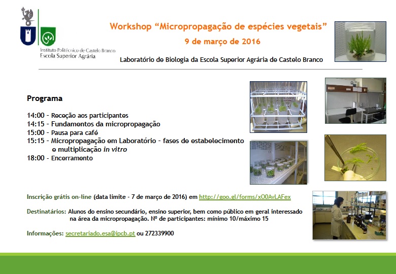 Castelo Branco: ESA promove Workshop “Micropropagação de Espécies Vegetais”