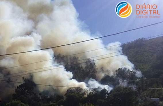Vila Velha de Ródão: Já são 160 bombeiros que combatem incêndio
