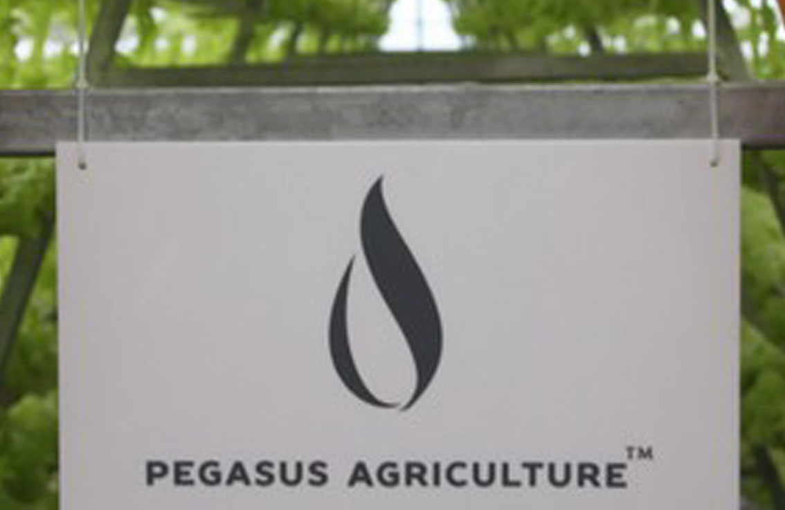 Proença-a-Nova: Agroalimentar investe 2,5 milhões de euros no Parque Empresarial