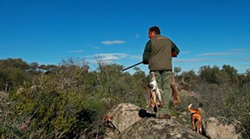 Incêndios: Caçadores defendem proibição total da caça nos terrenos livres