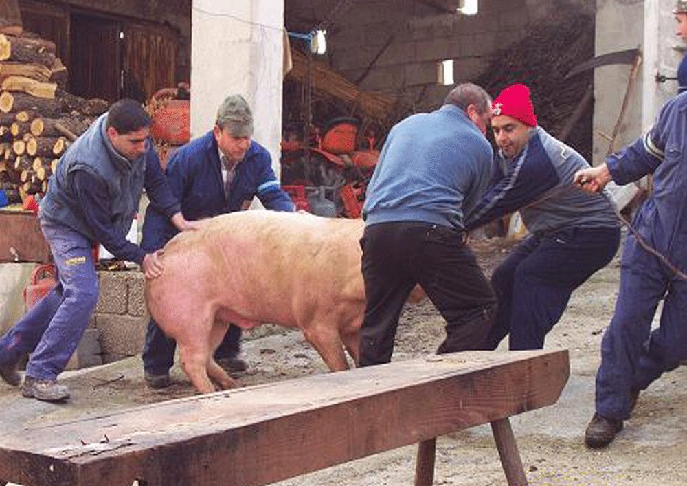 Vila de Rei promove Mercado Medieval com Matança do Porco Tradicional