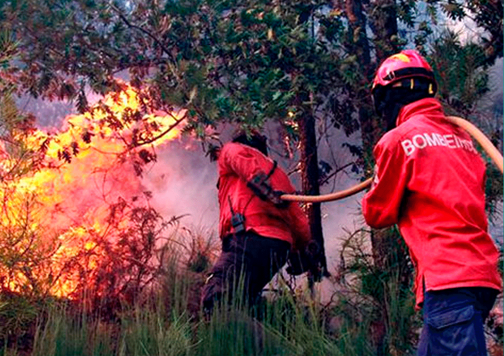 Covilhã: Bombeiros combatem fogo na Ribeira de Unhais da Serra