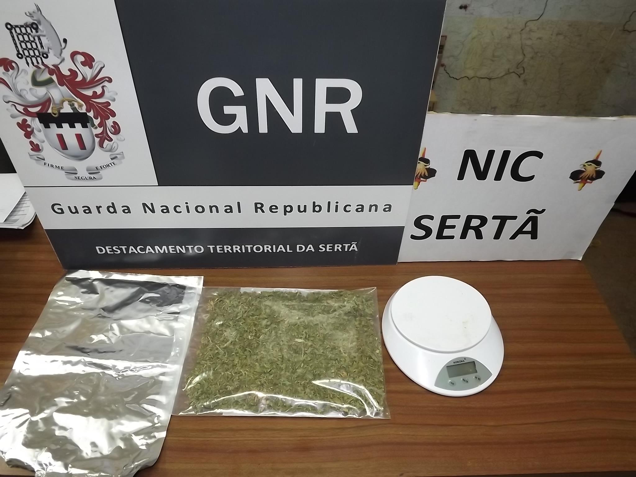 Sertã: GNR detém menor inglês suspeito de consumo e tráfico de droga