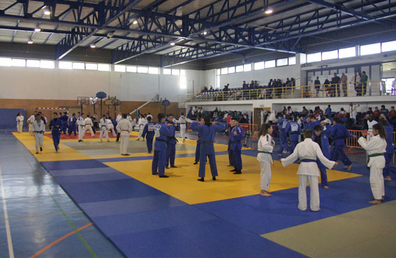 Distrito de Castelo Branco conquista 18 medalhas no III Open de Cadetes e Juvenis “Mestre António Moraes”