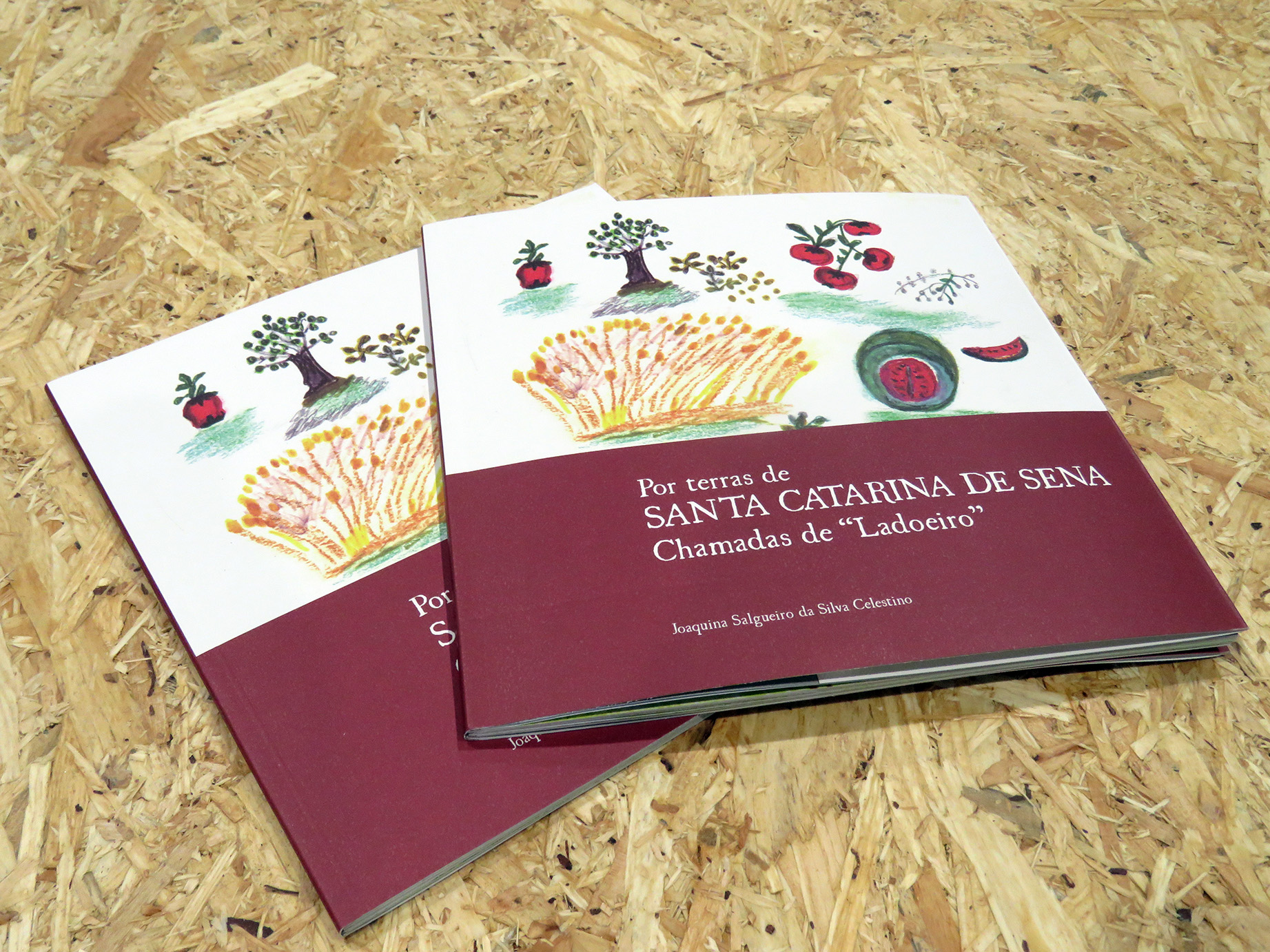 Câmara de Idanha-a-Nova edita livro de Santa Catarina de Sena