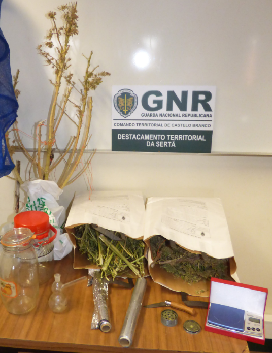 Sertã: GNR deteve suspeito de tráfico de droga