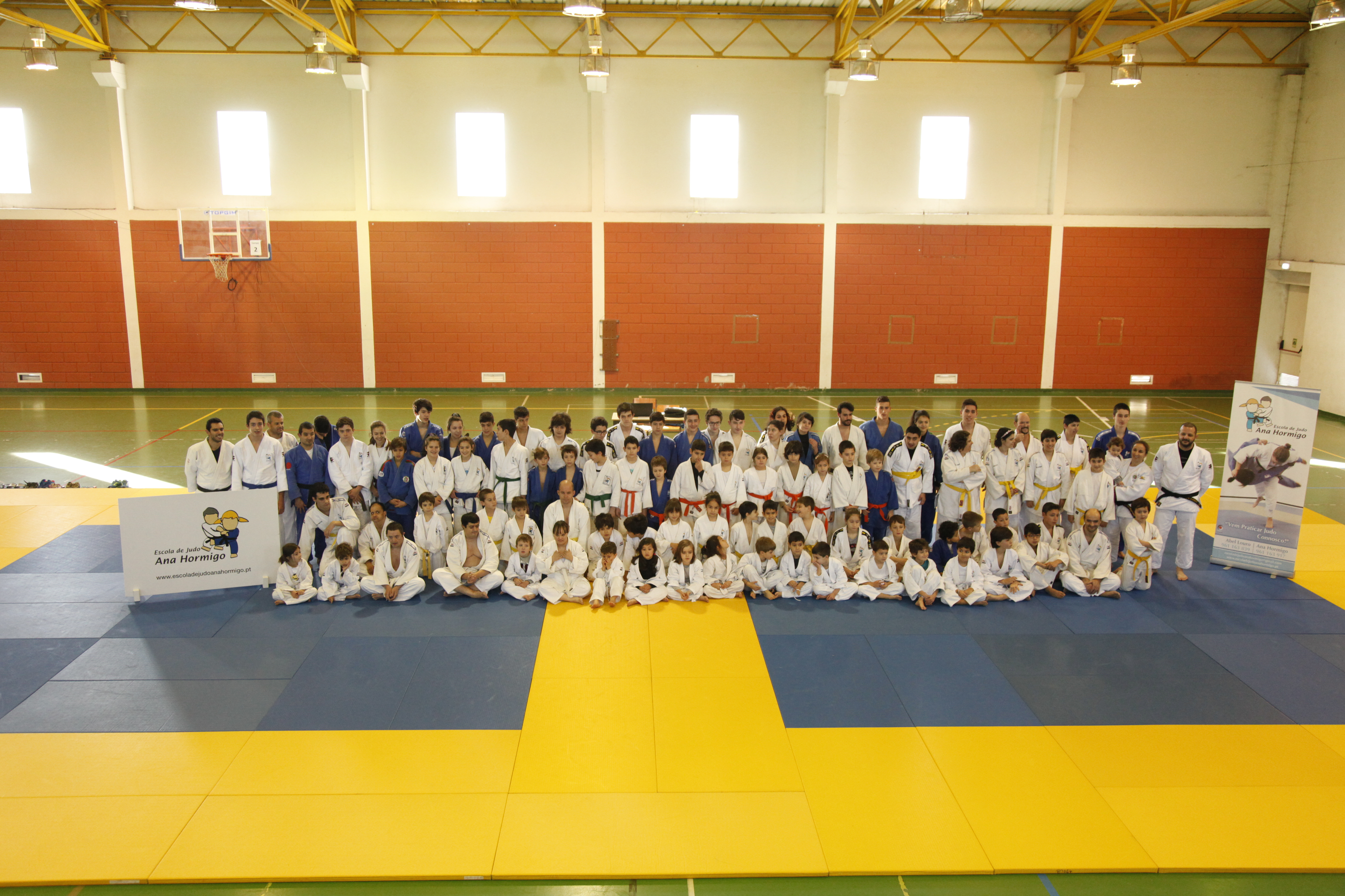 Castelo Branco: Escola de Judo Ana Hormigo retoma atividades