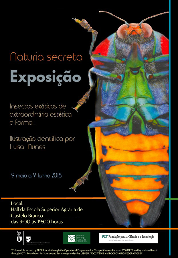 Castelo Branco: Exposição: “Naturia Secreta” - Insetos exóticos para ver na Escola Superior Agrária
