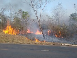 Vila Velha e Proença a Nova são dois concelhos  em risco muito elevado de incêndio