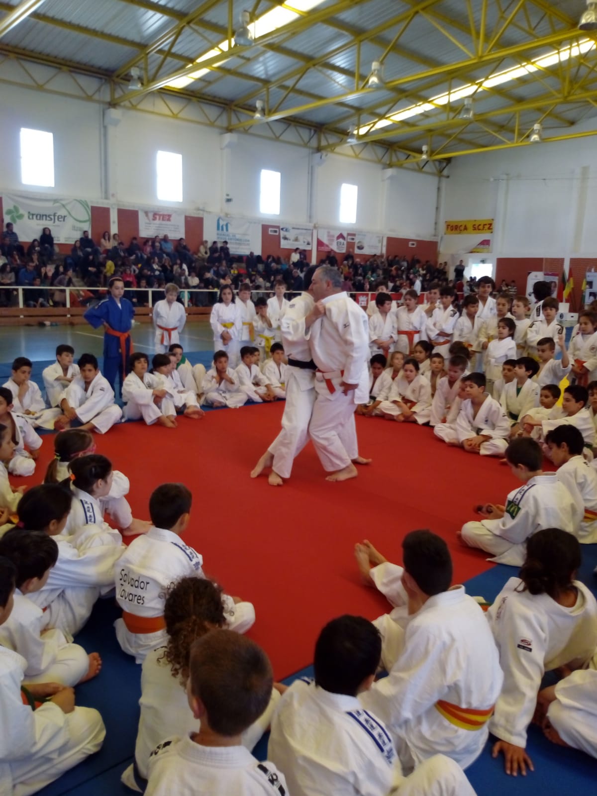 Judo: 14 judoquinhas da Escola de Judo Ana Hormigo competem em Ferreira do Zêzere