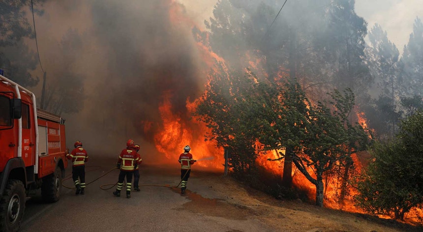 WWF pede que Portugal e Espanha se juntem na prevenção dos fogos florestais