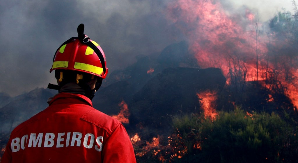Queimadas entre as principais causas dos fogos até 15 de agosto