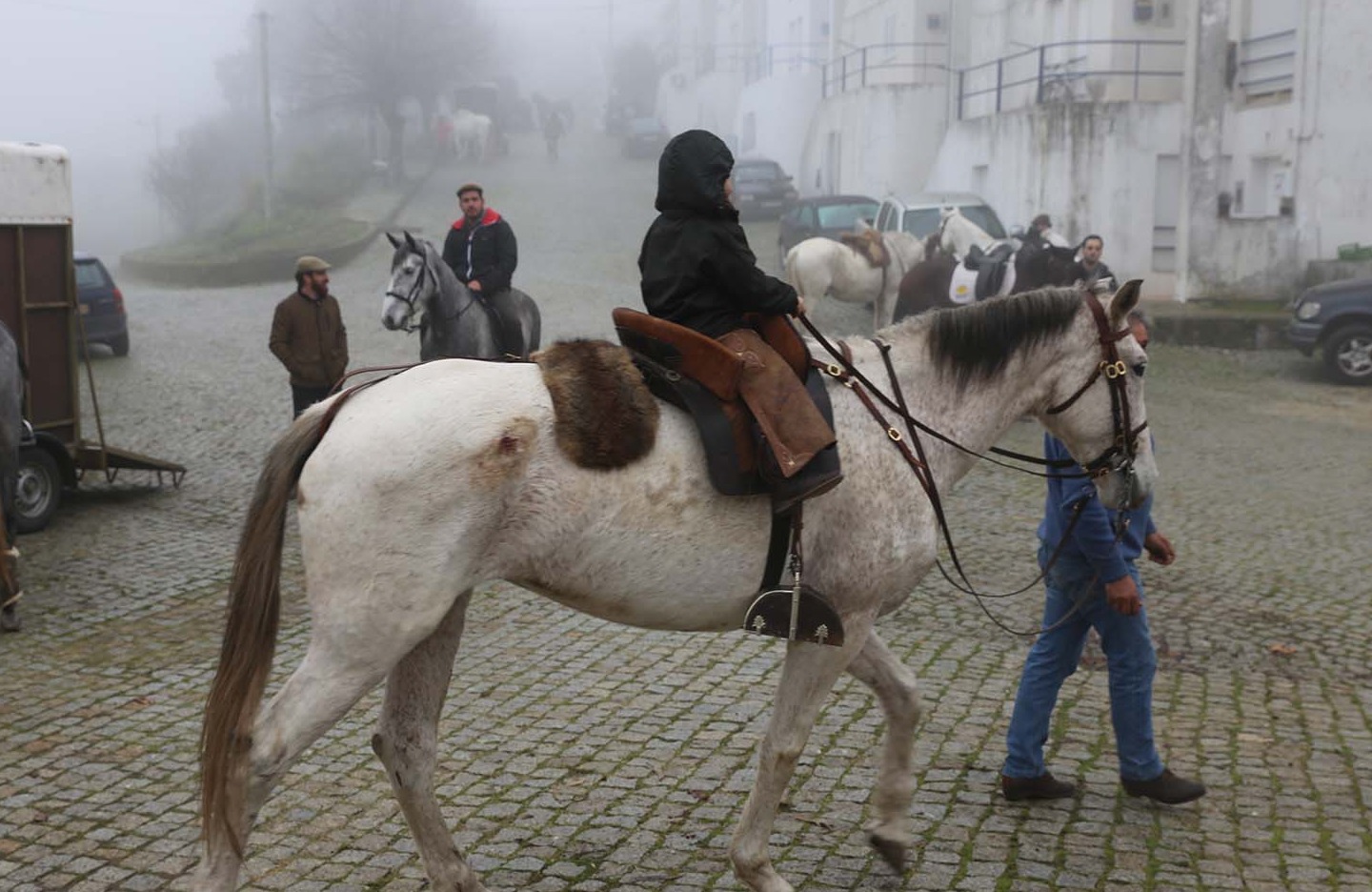 Passeio Equestre Penamacor Vila Madeiro com quatro dezenas de cavaleiros