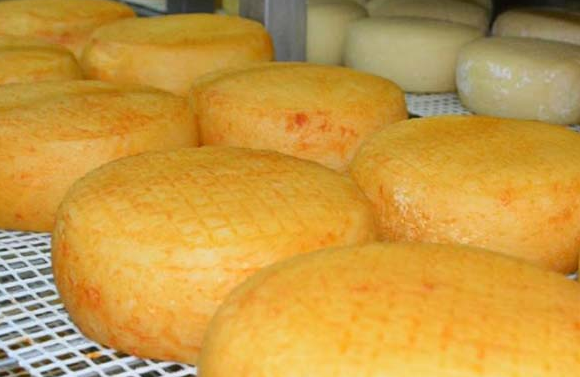 Castelo Branco investe 360 mil euros na valorização do queijo da região Centro