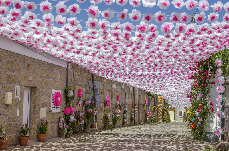 Idanha-a-Nova: Flores vestem Aldeia de Santa Margarida a partir de 6ª-Feira