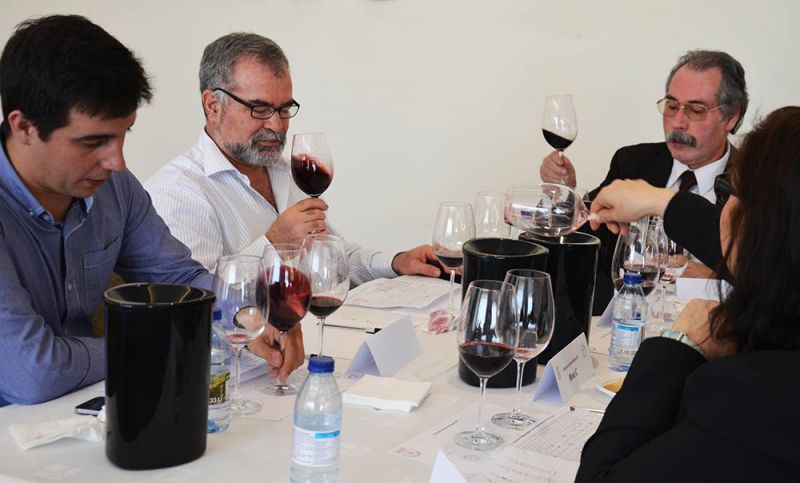 Concurso de vinhos da Beira Interior com 83 vinhos de 30 produtores