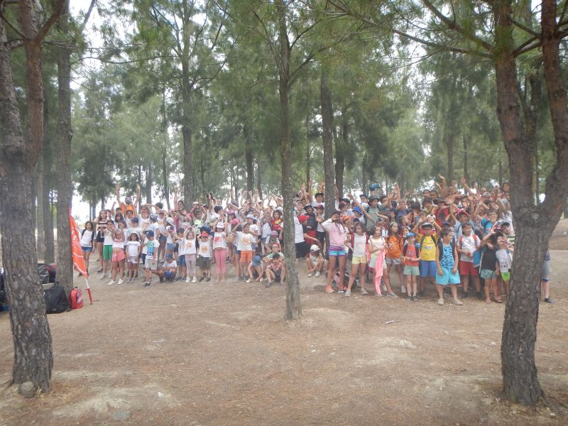 Vila Velha de Ródão: ATL de Verão conta com adesão expressiva de crianças