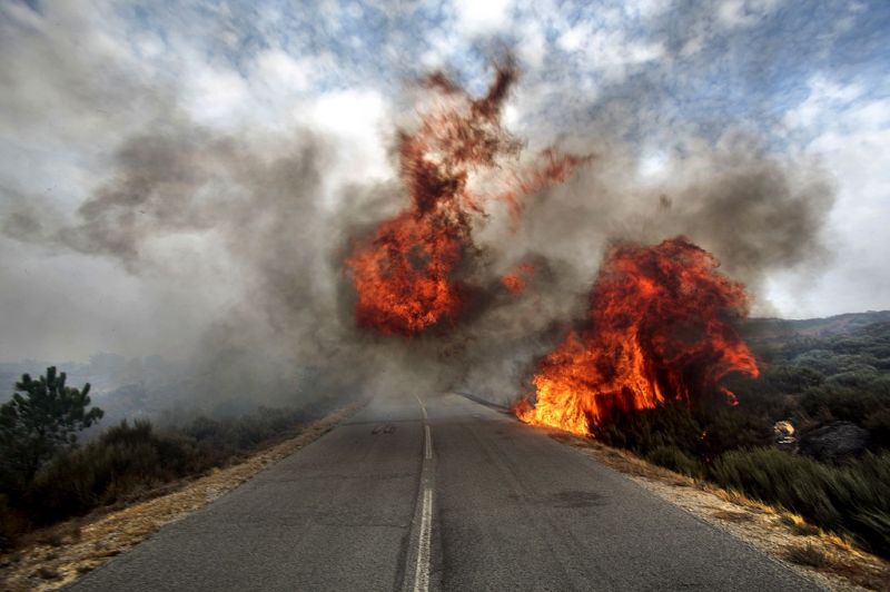 Parlamento recomenda ao Governo que indemnize família de vítima de incêndio em Oleiros