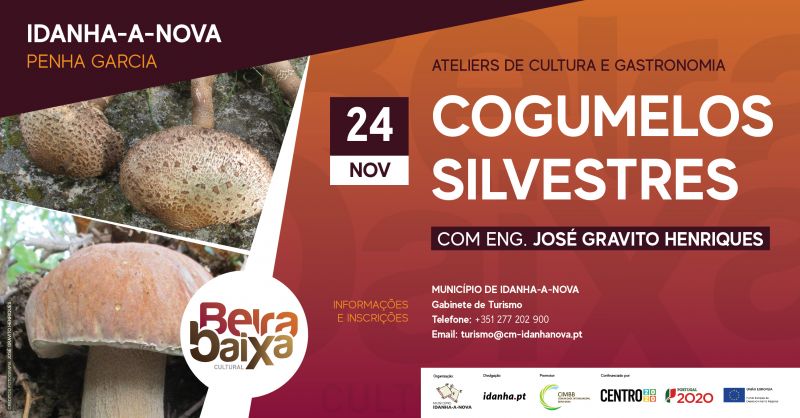 Idanha-a-Nova: Passeio em busca de Cogumelos Silvestres em Penha Garcia dia 24 - Diário Digital Castelo Branco