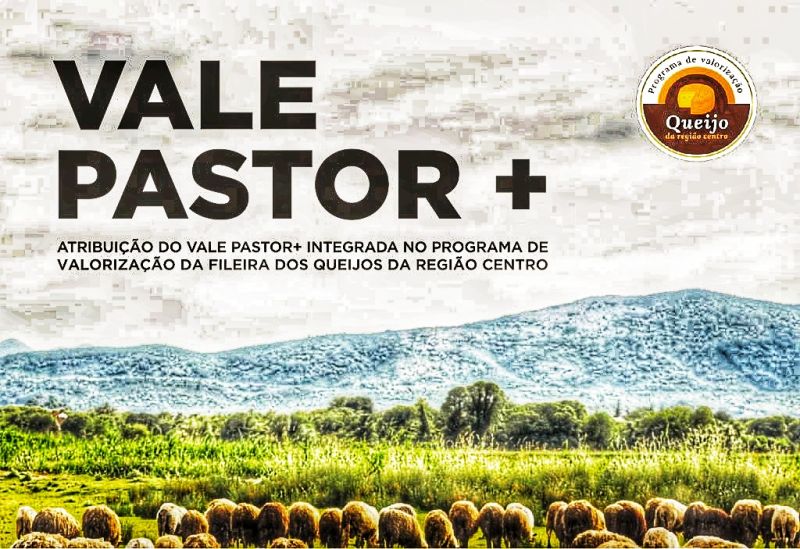 “Vale Pastor” vai premiar o leite de melhor qualidade para produção de queijo DOP