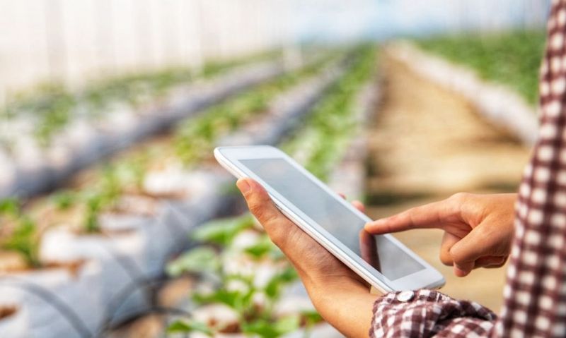 Idanha-a-Nova vai ter Polo de Inovação
Digital para o Setor Agroalimentar