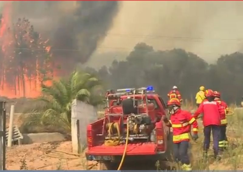 Fundão: Incêndio queima zona de mato em Silvares