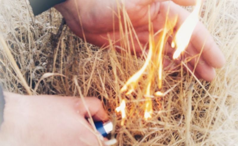 Castelo Branco: GNR detém incendiário
em Malpica do Tejo
