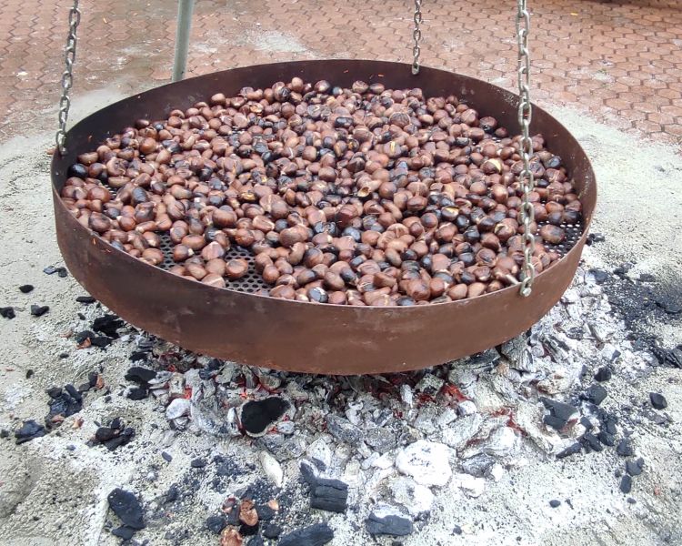 Rodão: Campo de Feiras festeja “Dia de Todos os Santos” 6ª-feira