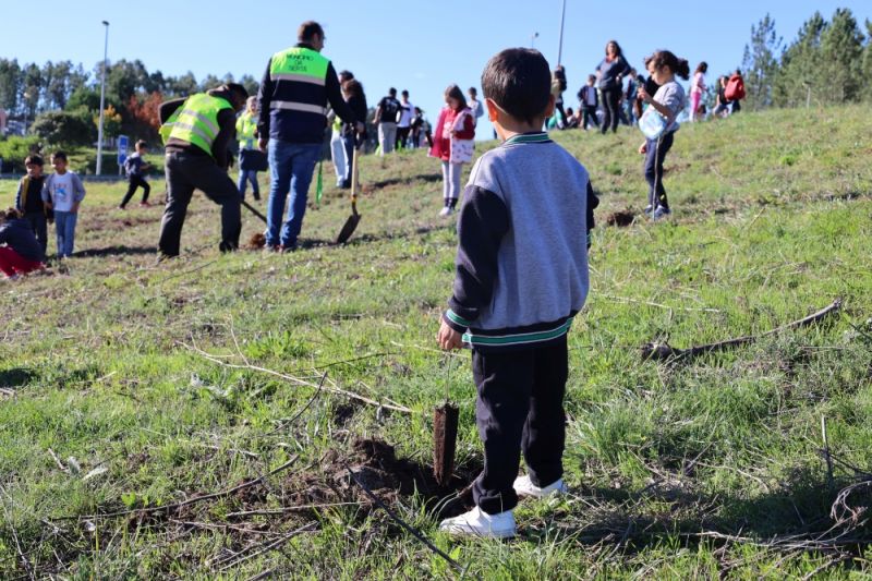 Infraestruturas de Portugal promoveu plantação de árvores na Sertã