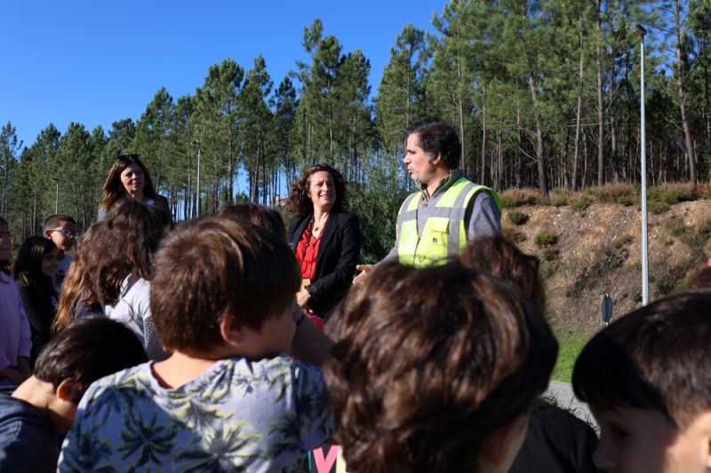 Infraestruturas de Portugal promoveu plantação de árvores na Sertã