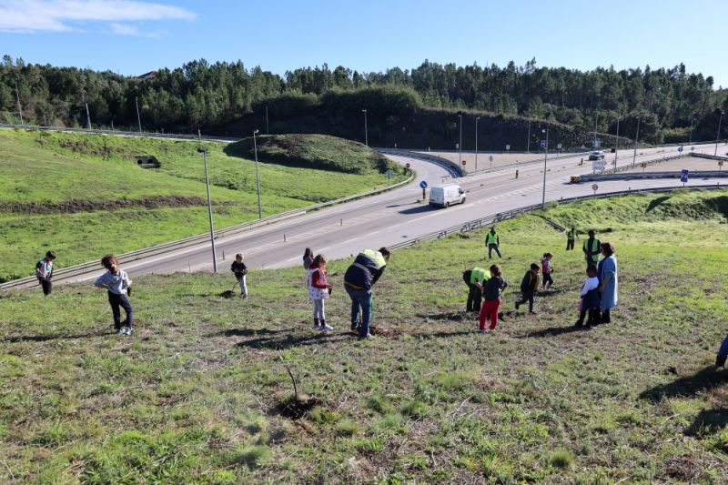 Infraestruturas de Portugal promoveu plantação de árvores na Sertã