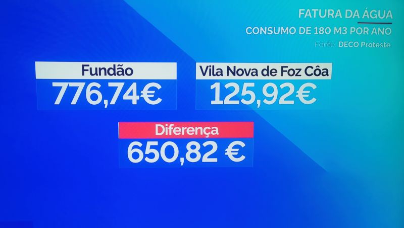 fundyo-reage-ao-estudo-da-deco