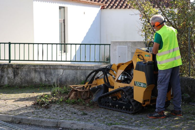 Município da Sertã intervenciona árvores em espaço urbano