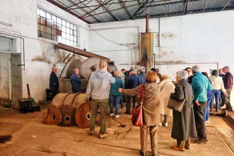 Dia Mundial da Oliveira assinalado na Sertã