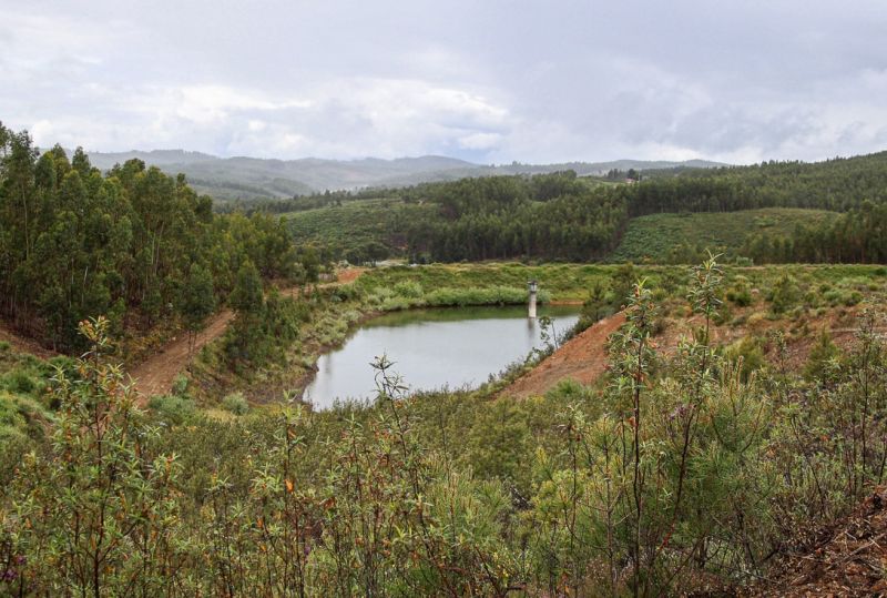 Albufeira do Parque Empresarial de Proença-a-Nova alvo de projeto pioneiro de valorização