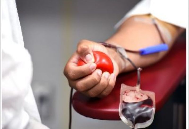 Castelo Branco: 29 de Dezembro é dia de recolha de sangue e medula óssea em Alcains