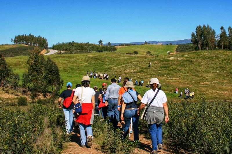 2025 será o “Ano Municipal das Raízes” em Proença-a-Nova