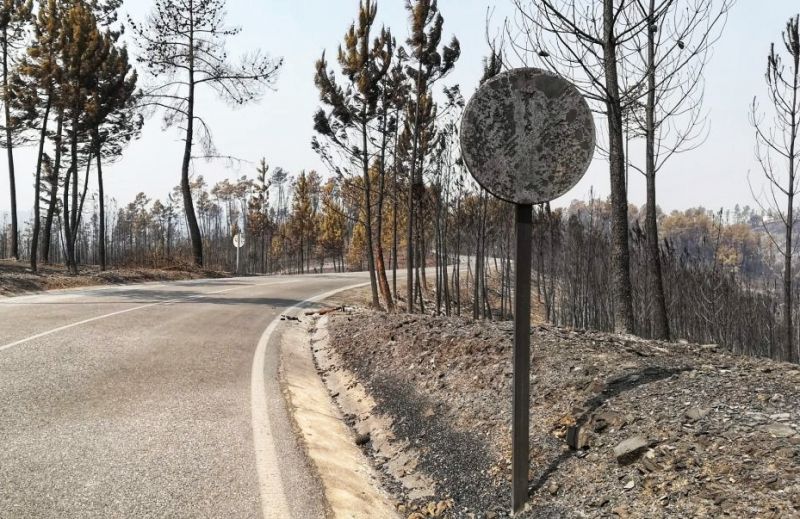 Castelo Branco: Governo auxilia Câmara Municipal a recuperar infraestruturas destruídas pelos incêndios com 700 mil euros
