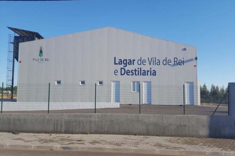 Azeite: Campanha de 2024 do lagar de Vila de Rei com resultados positivos