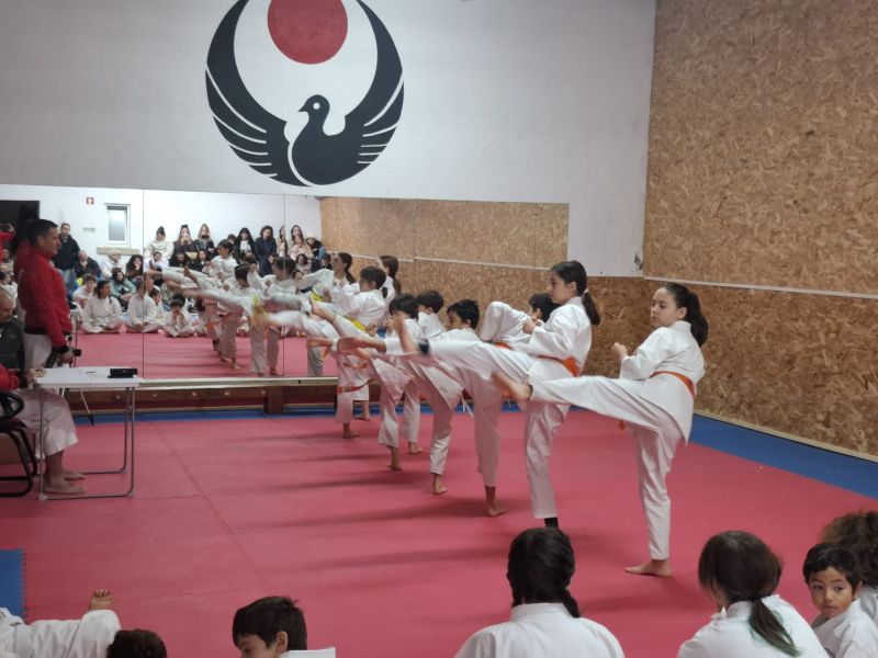 Karaté Wado: Castelo Branco com casa cheia em exames de graduação