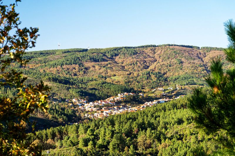 Penamacor: Festival da Chanfana regressa a Meimão no próximo fim de semana
