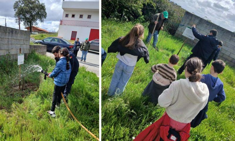 idanha-a-nova-crianyas-de-penha-garcia-aprendem-a-proteger-o-ambiente-ao-celebrarem-cdia-verdec