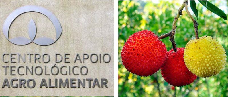agro-alimentar-de-castelo-branco-integra-projeto-para-valorizayyo-do-medronho